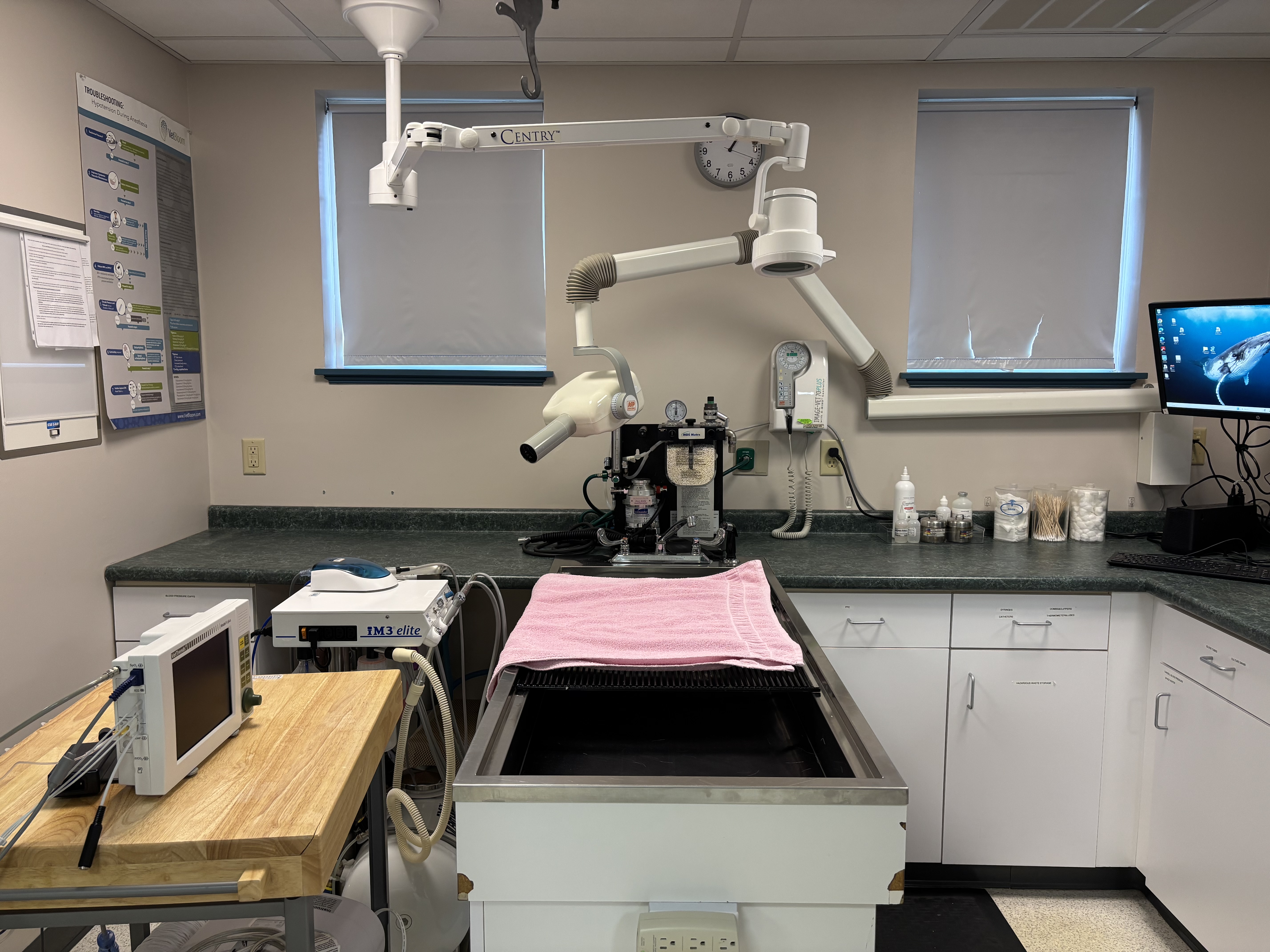 Treatment / Dental Area