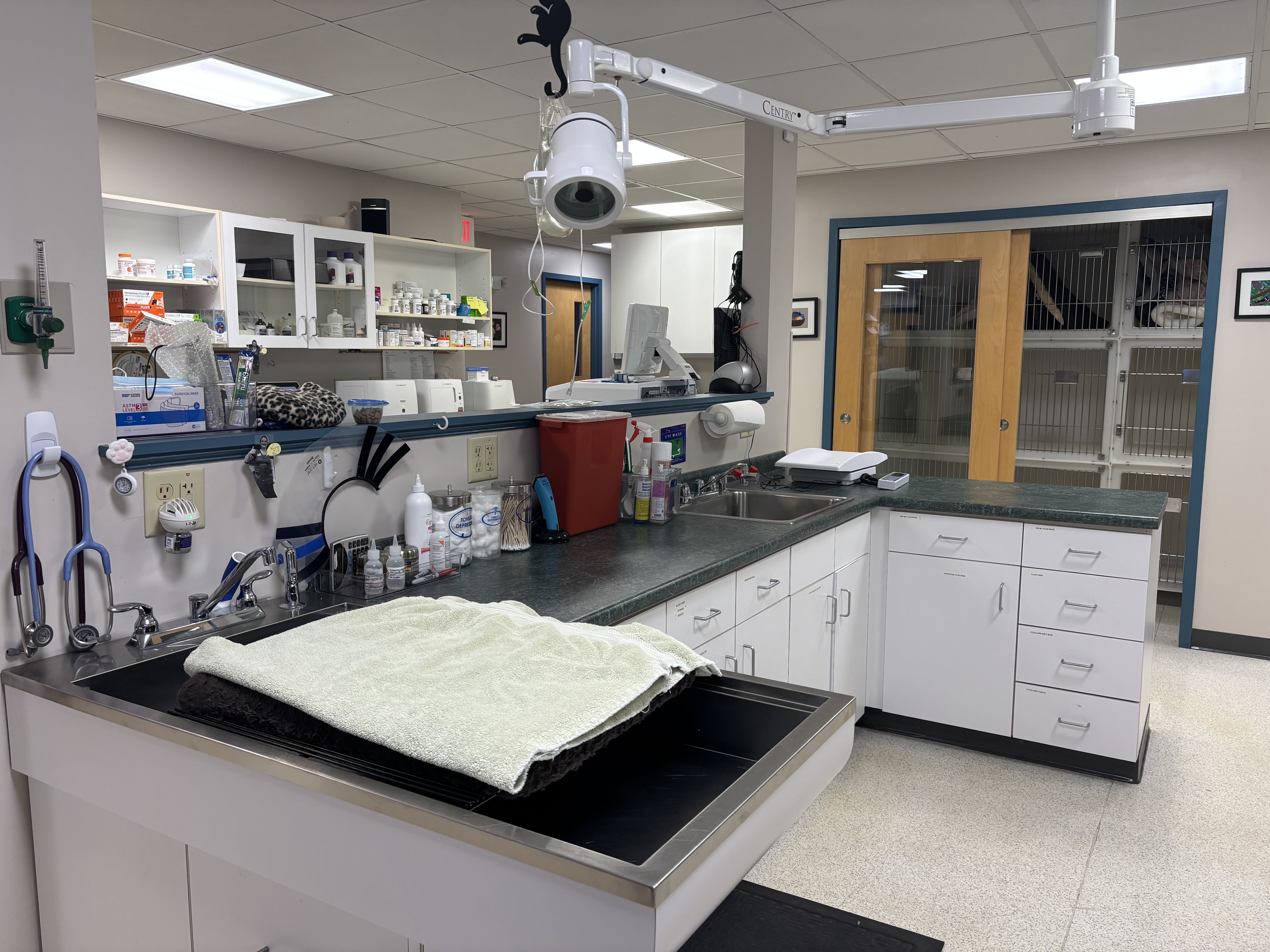 Treatment / Dental Area