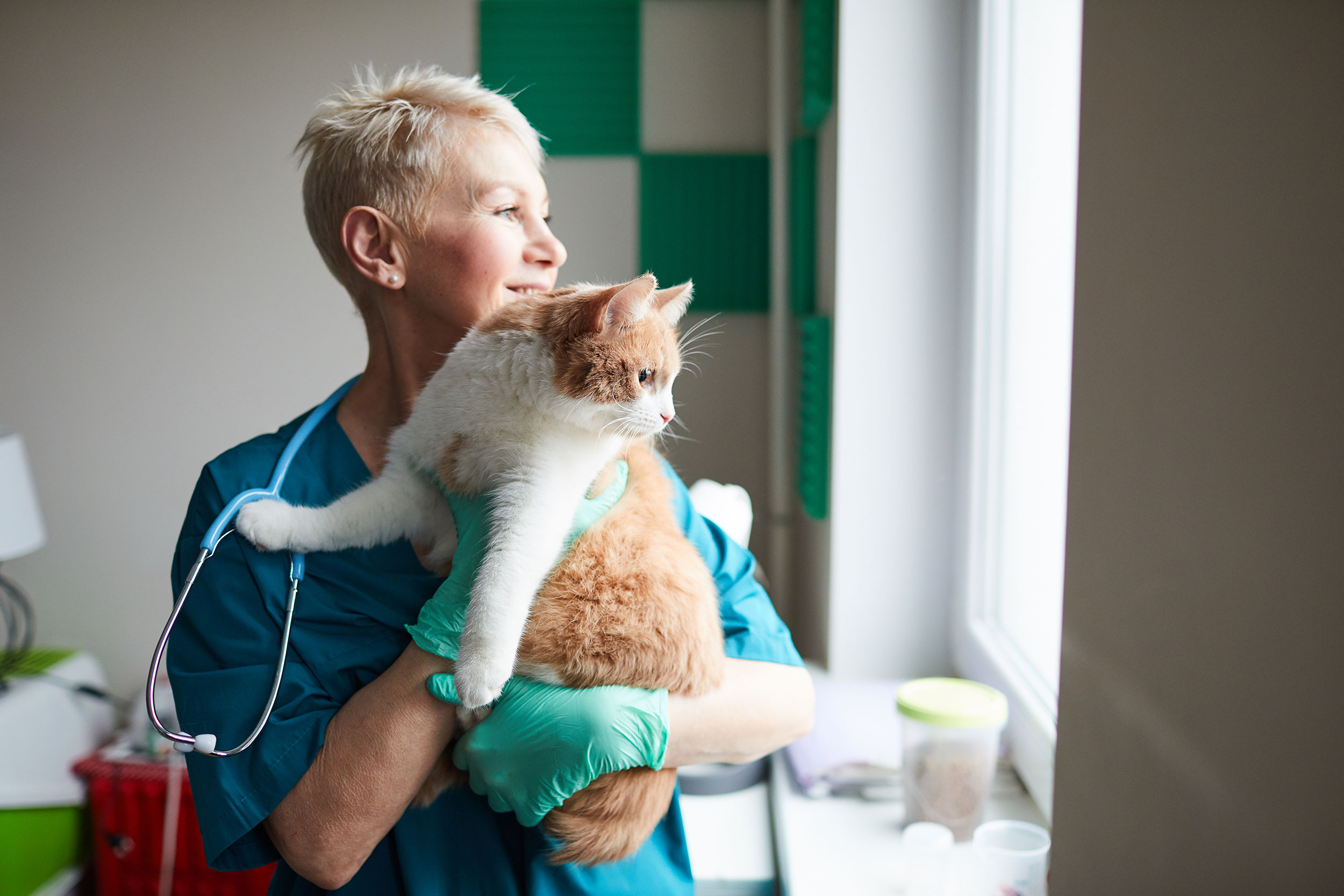 Doctor Holding Cat While Looking Out Window